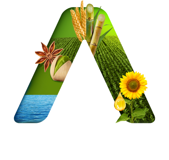 Banner Logo